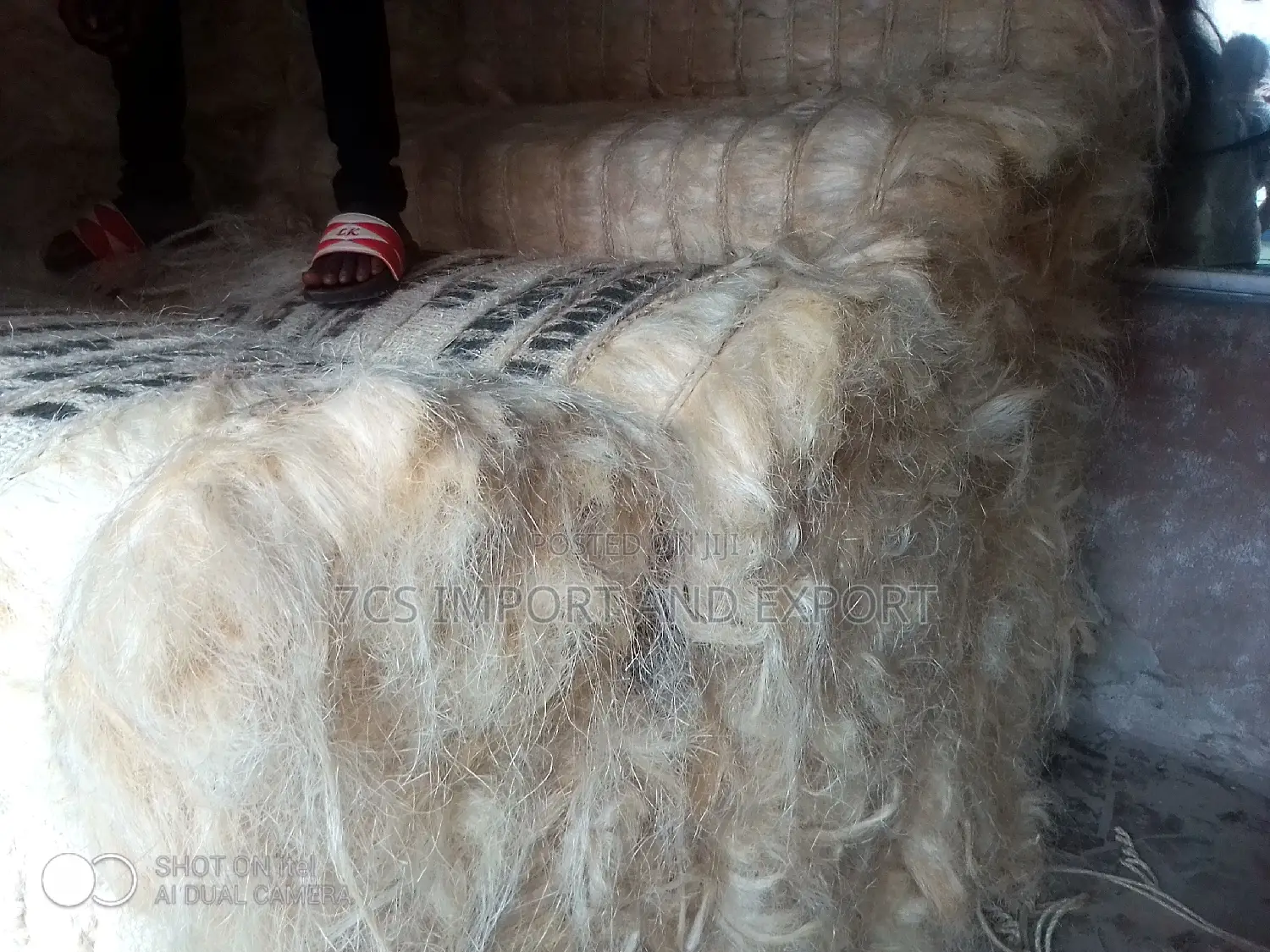 Filler Sponge From Kenya