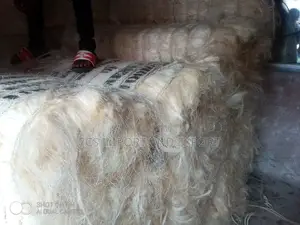 Filler Sponge From Kenya