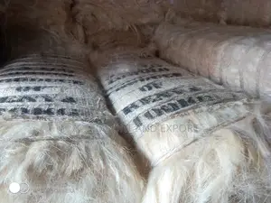 Filler Sponge From Kenya