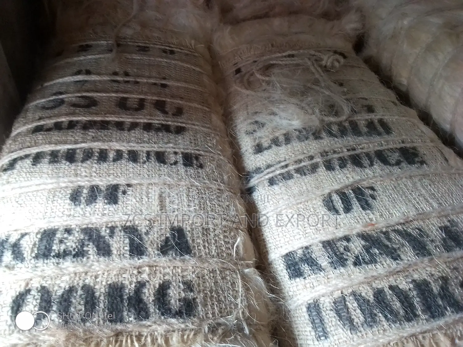 Filler Sponge From Kenya