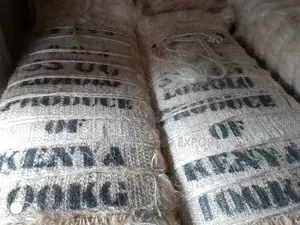 Filler Sponge From Kenya