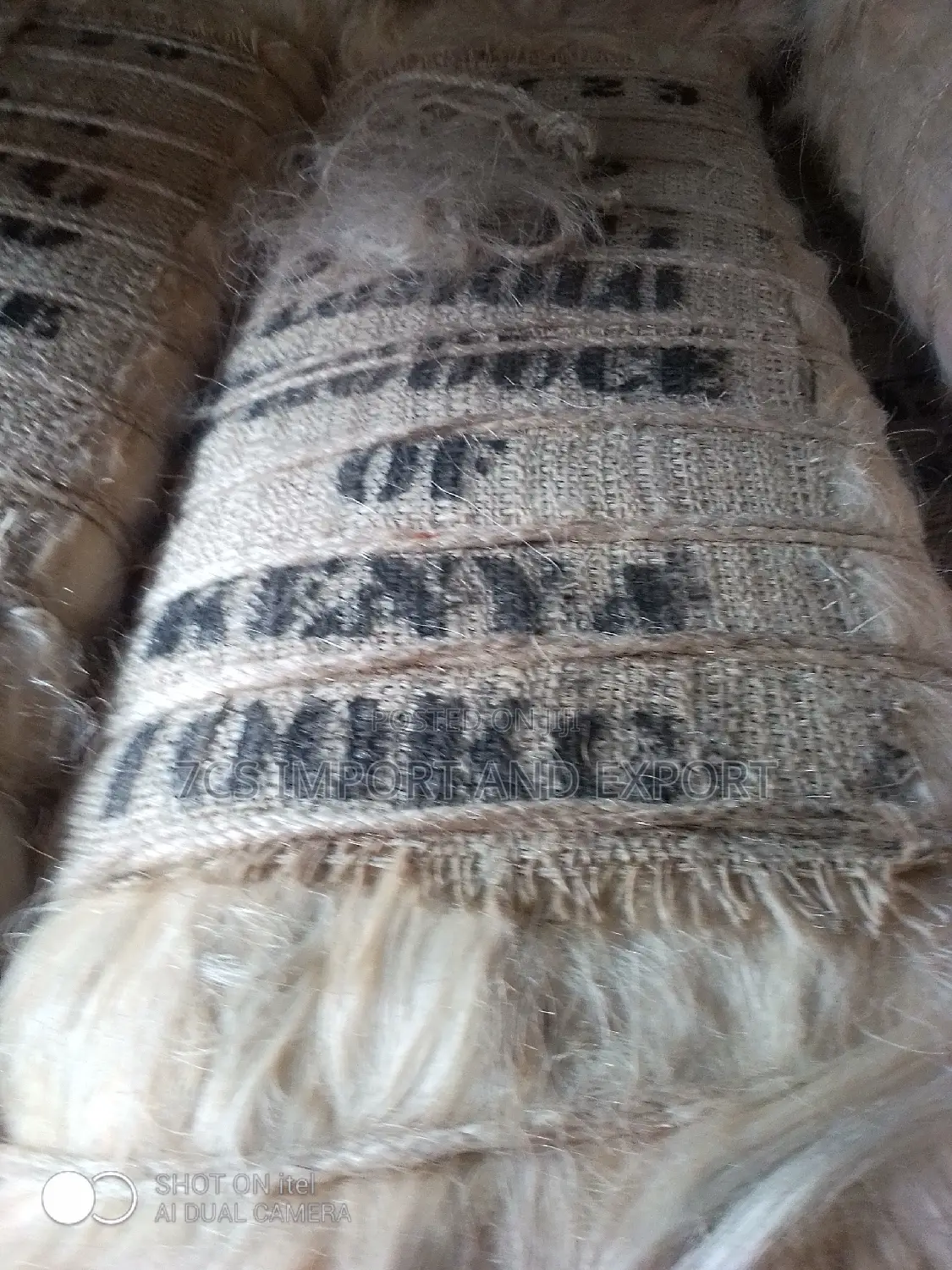 Filler Sponge From Kenya