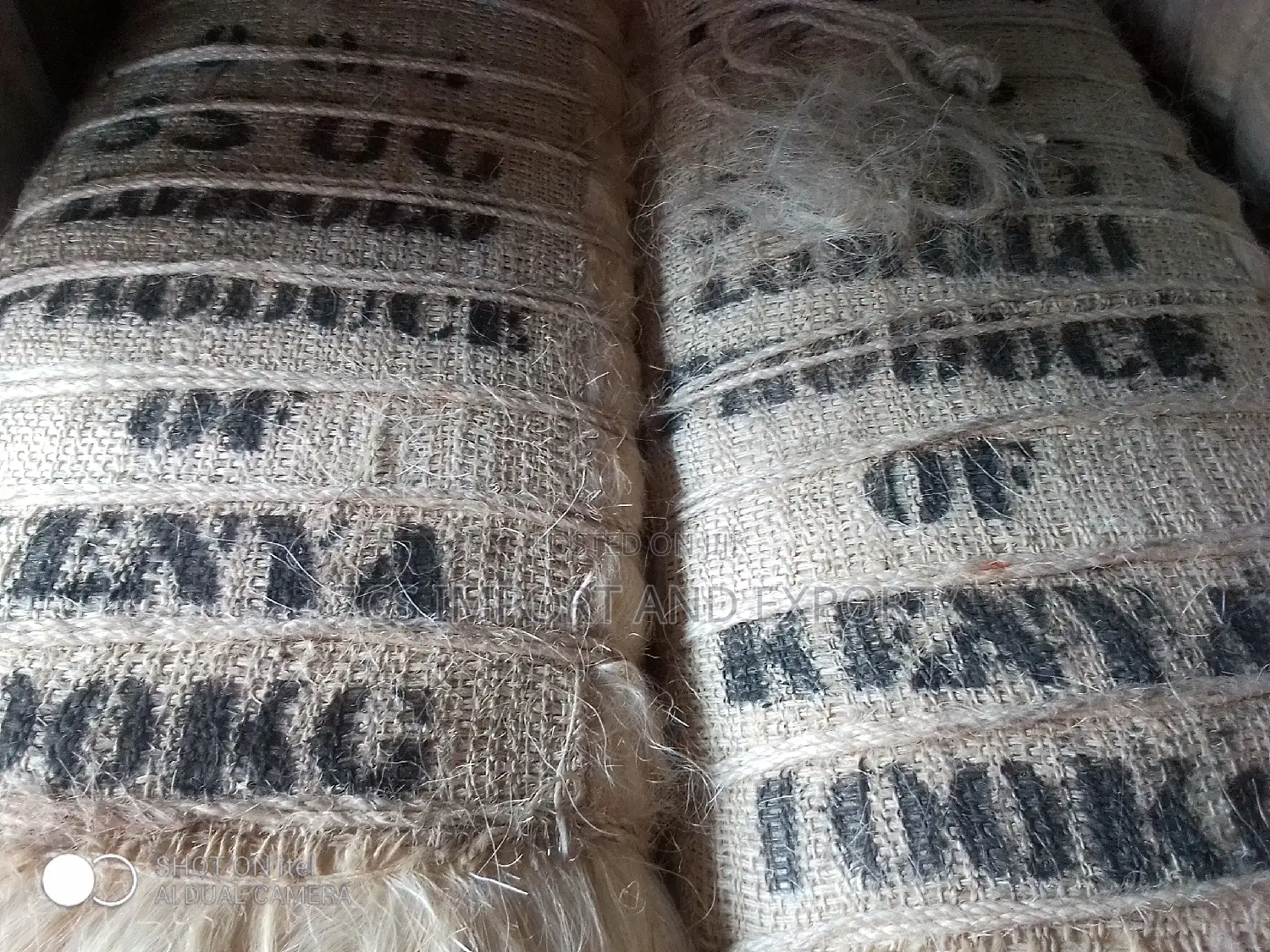 Filler Sponge From Kenya