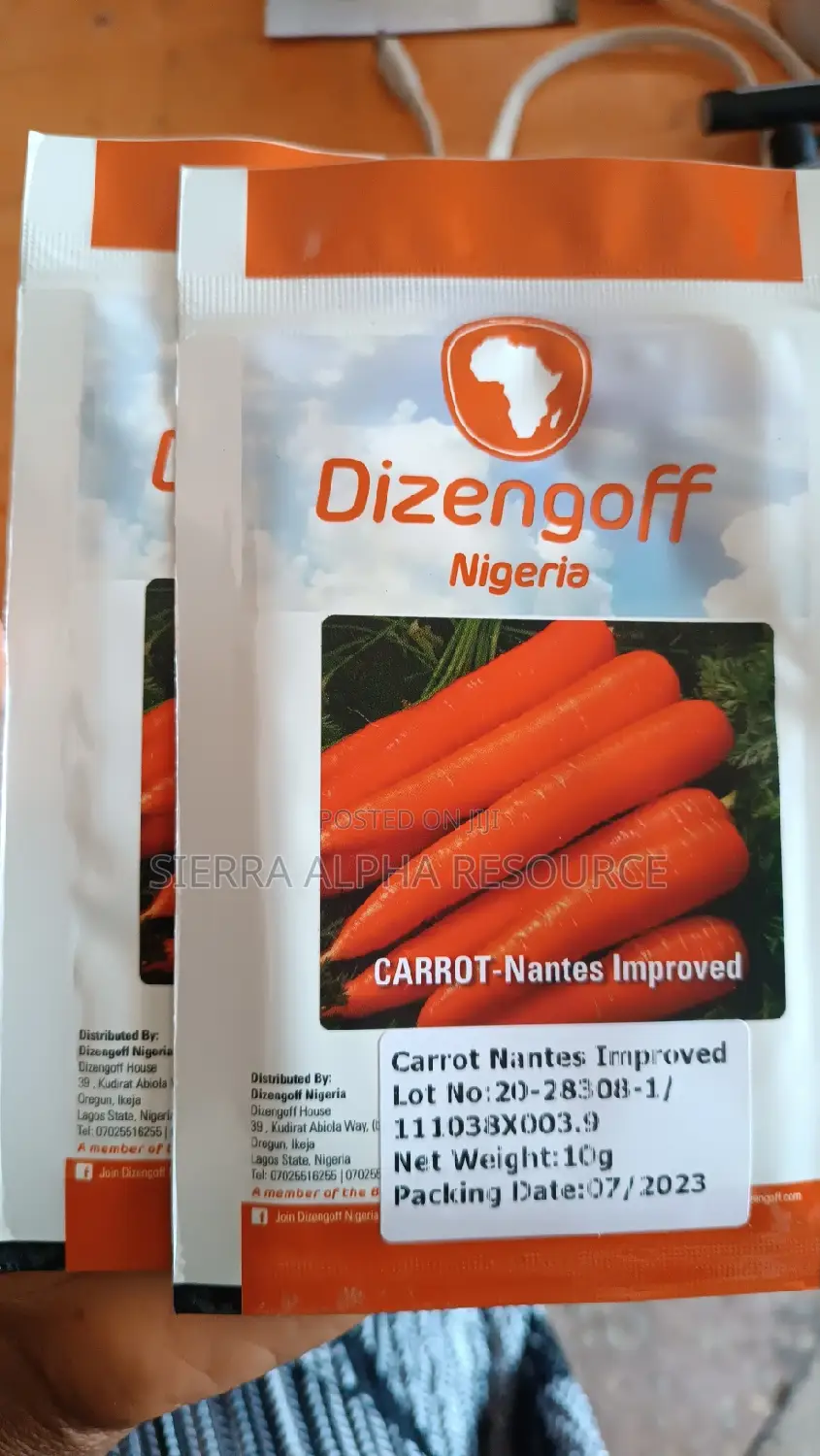 Carrot Seeds