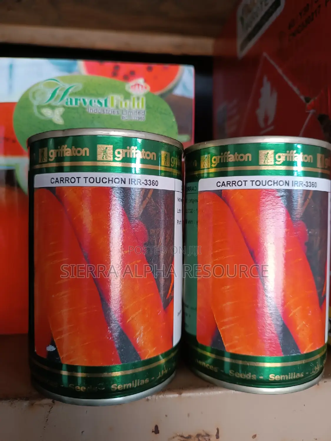 Carrot Seeds