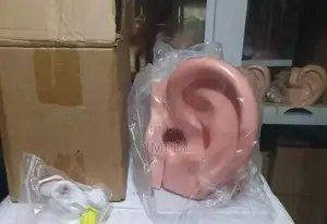 Human Ear Model