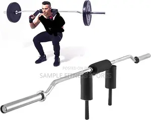 Commercial Olympic Squat Bar