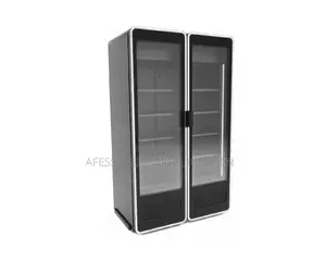 Standing Double Door Open Chiller
