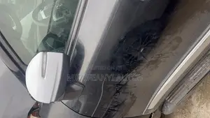 2023 Landcruiser Side Mirror