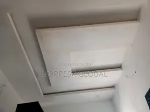 Polystyrene Interior and Exterior Designs Ceiling