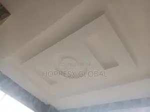 Polystyrene Interior and Exterior Designs Ceiling