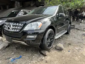 Mercedes-Benz M Class 2010 Black