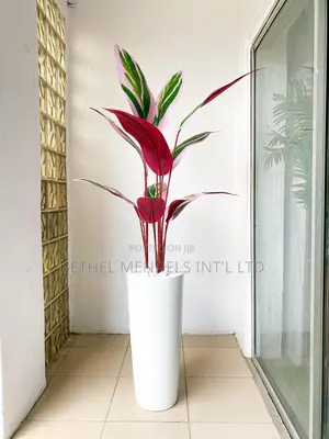 Resellers Wanted Urgently in Kano State