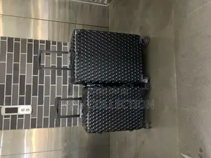 Set of Two Luggage Boxes