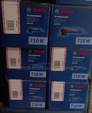GWS 700 Professional Angle Grinder