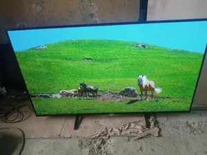 55 Inches Sony