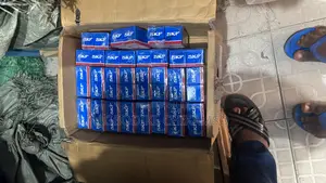Original SKF Bearing All Available in All Numbers