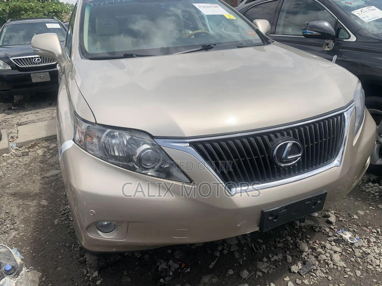 Lexus RX 2012 Gold