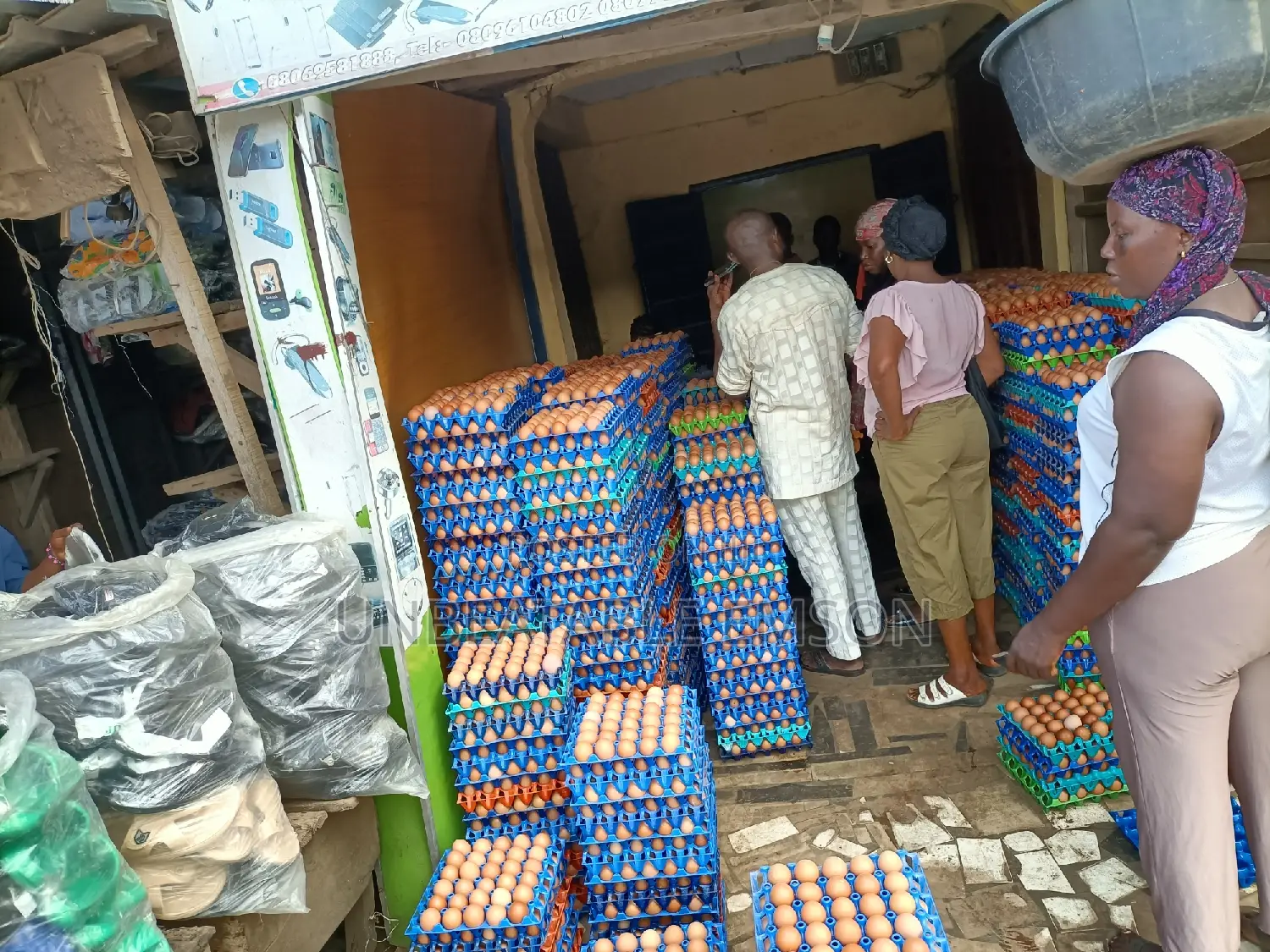 Chicken Eggs