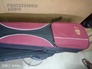 Arcangel Concert Violin
