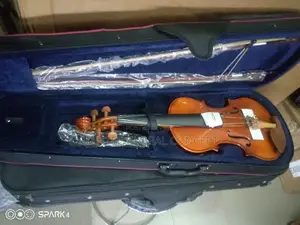 Arcangel Concert Violin