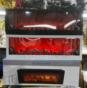 Interior Fireplace With Remote Control
