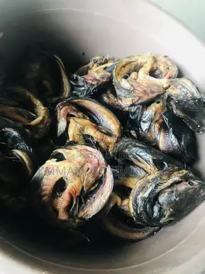 Oven Dried Catfish