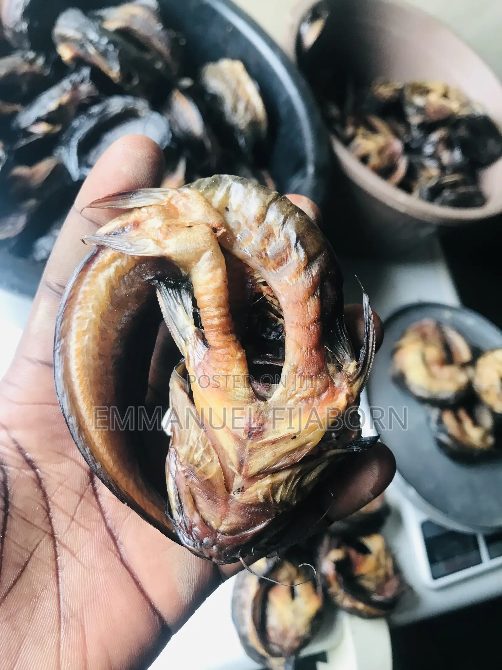 Oven Dried Catfish