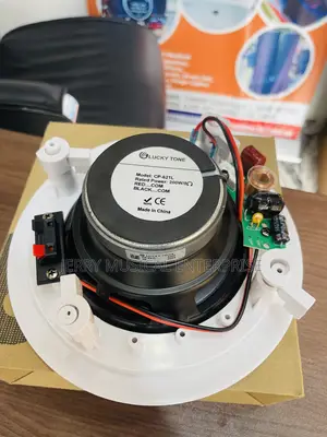 200watts Lucky Tone Ceiling Speaker