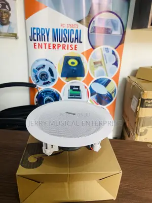 200watts Lucky Tone Ceiling Speaker