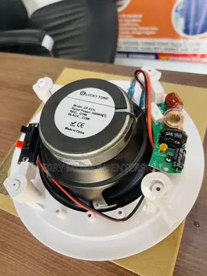 Quality 200wattw Ceiling/Pop Speaker With Woofer