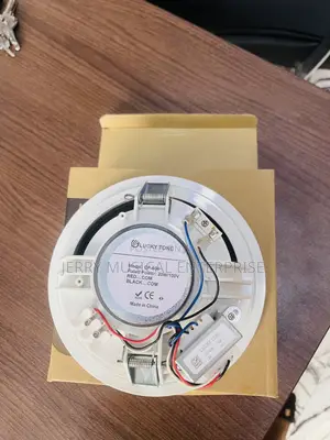 Voltage 20watts Ceiling Speakers