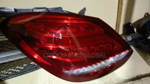 Back Light and Side Mirror C300 2015