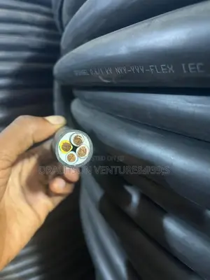 4corex10mm Standard Flexible Wire's