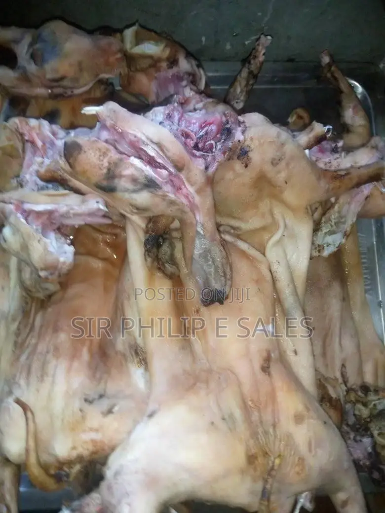Rabbit Meat
