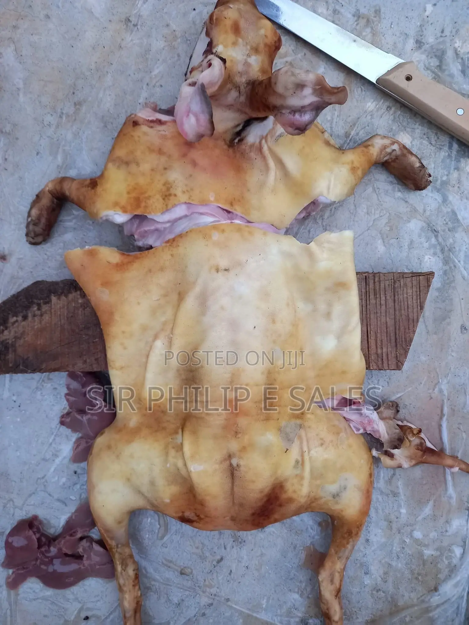 Rabbit Meat