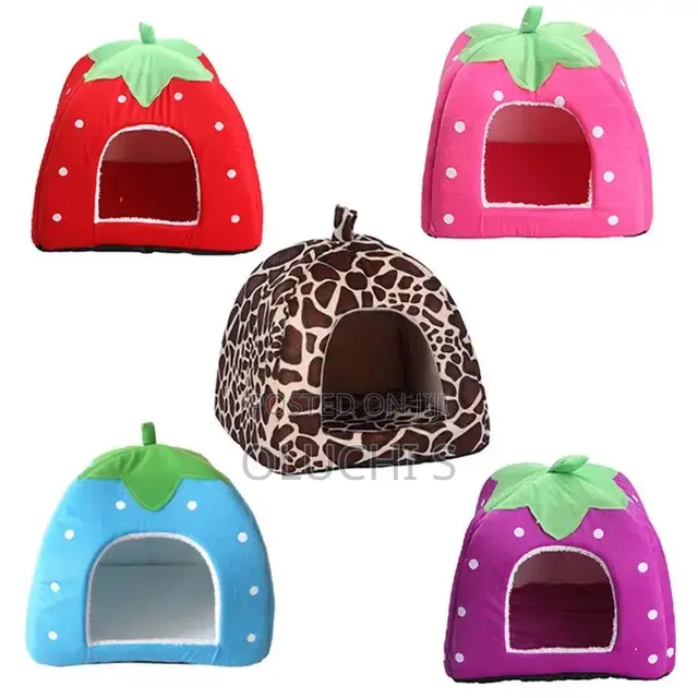 Miniature Pet House