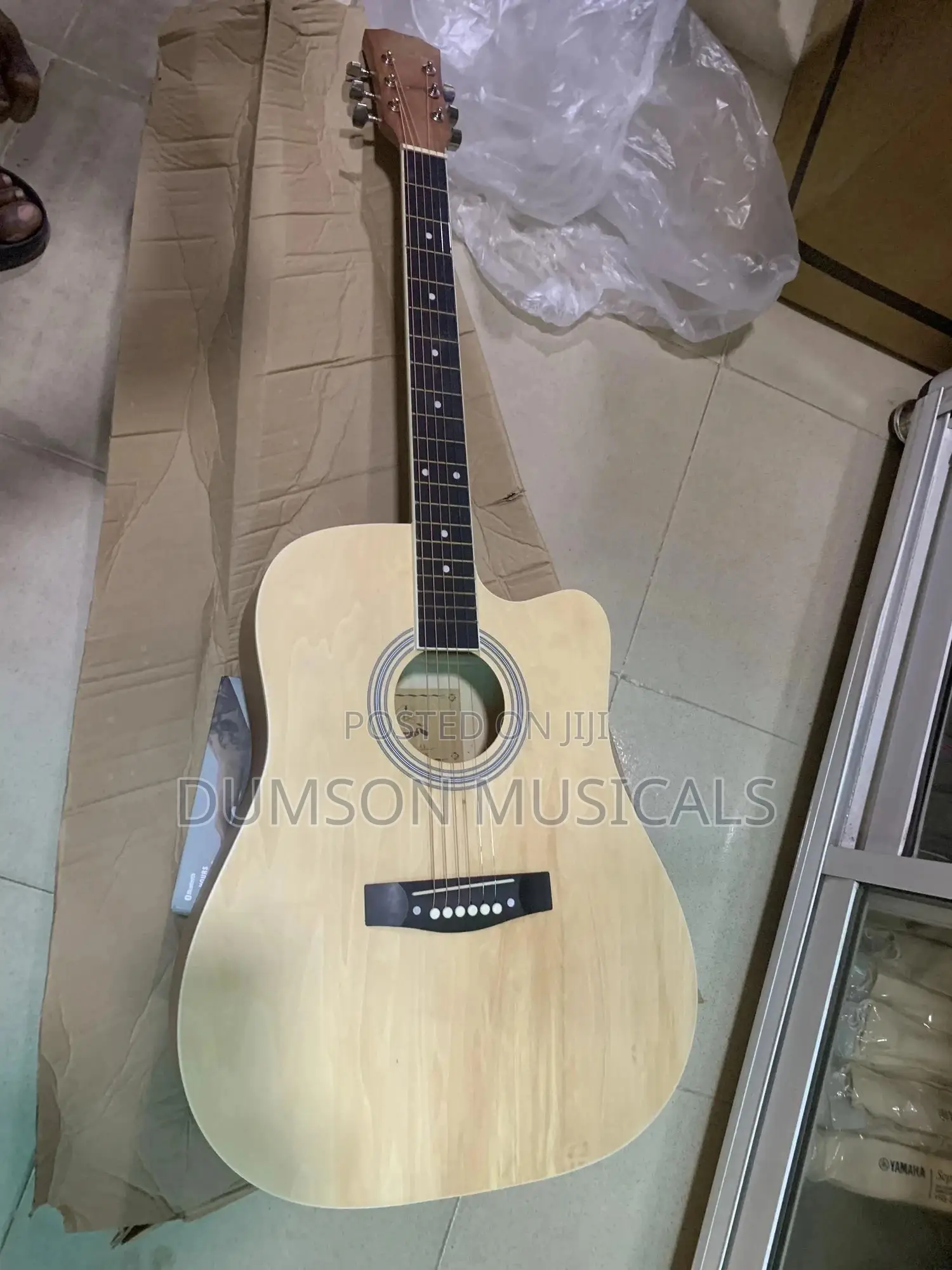 Acoustic Gunter Jumbo Big Size