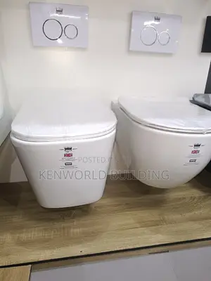 Wall Hung Conceal Wc