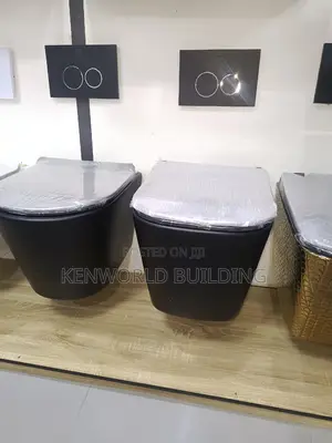 Wall Hung Conceal Wc