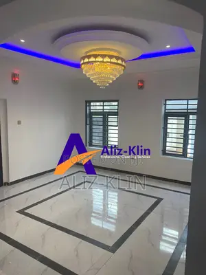Aliz-Klin Professional Cleaning Company