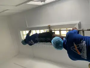 Aliz-Klin Professional Cleaning Company