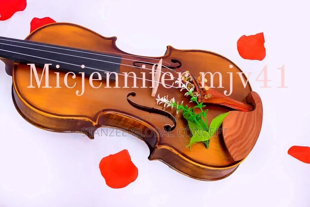 Mic-Jennifer Mjv41 Concert Violin