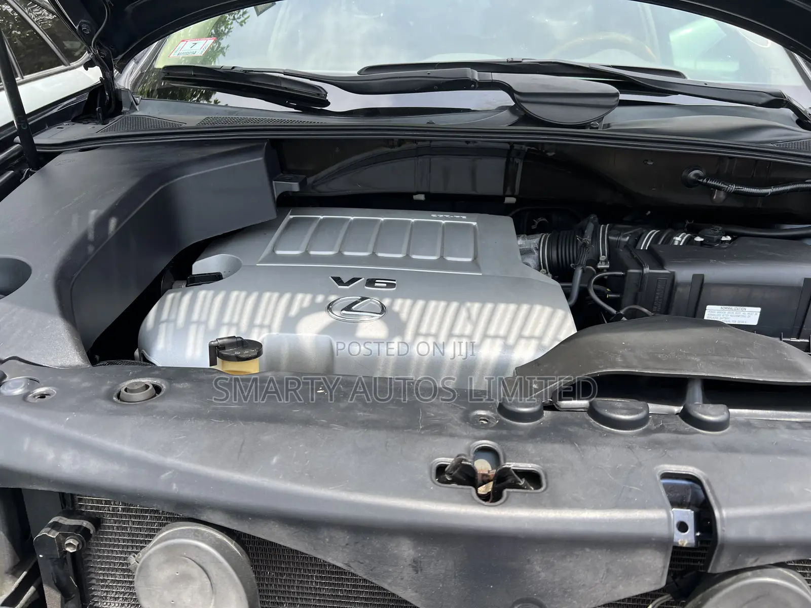 Lexus RX 2009 Blue
