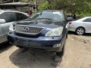 Lexus RX 2009 Blue