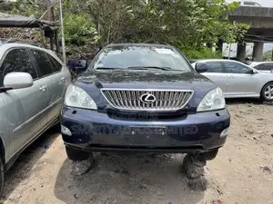 Lexus RX 2009 Blue