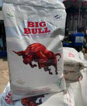 Affordable Rice In Bags