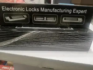 Electronic Locks Manufacturing Expert