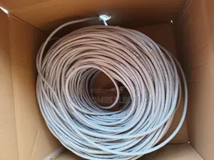Brand Rex Internet Cable