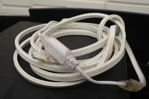 LED Light Neon Flexible Strip Light 5m Blue Color